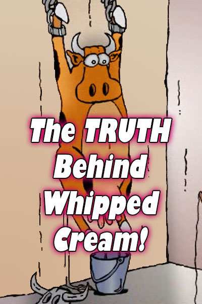 A Rubes by Leigh Ruben cartoon. A cow is chained to the wall in a torture chamber, and is about to be struck with a whip. The ecard title The Truth Behind Whipped Cream is written in front of her.
