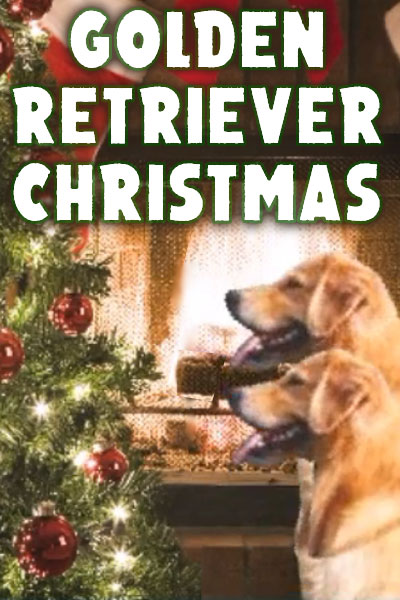 Two golden retrievers sit side by side in front of a fireplace, looking at a decorated Christmas tree. Golden Retriever Christmas is written above them.