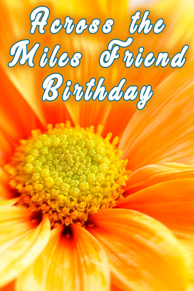 The thumbnail image for this friendship birthday ecard is a closeup of the center of a large orange daisy.