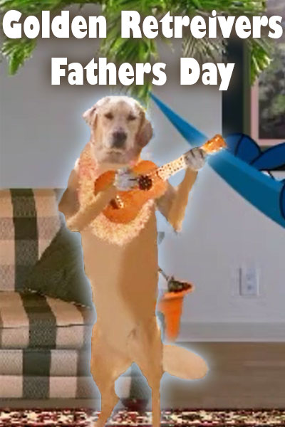 Golden Retrievers Father's Day