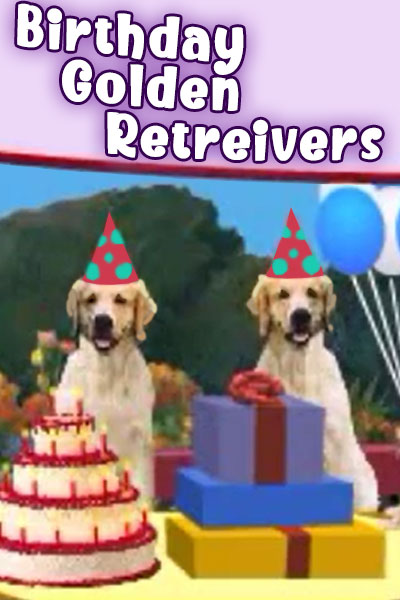 Two Golden Retrievers wearing party hats. They sit among piles of presents, and a birthday cake.