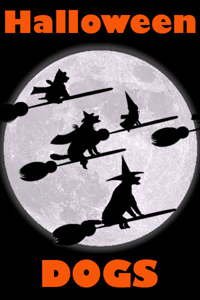 A full moon with silhouettes of witches passing in front of it. All of the silhouettes are dogs riding on broomsticks. The dogs are all different shapes and sizes, and wearing pointy witch hats, or flowing capes.