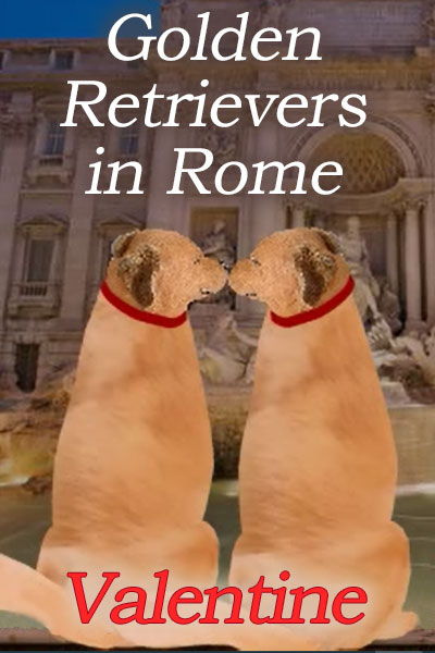 A pair of golden retrievers gaze lovingly at each other, and touch noses in front of a building in Rome.
