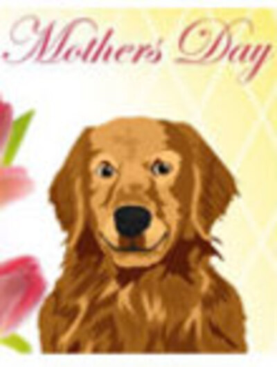 Talking Golden Retriever Mom (Personalize)