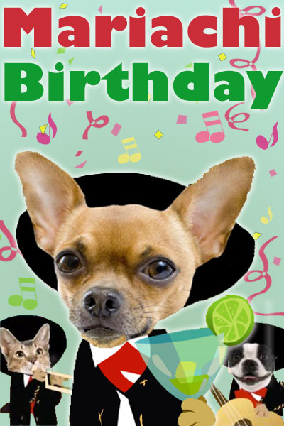 Photographs of a chihuahua, Boston terrier, and cat’s faces. They are dressed in cartoon mariachi outfits and sombreros. The chihuahua is holding a margarita, the Boston terrier is holding a guitar and the cat is playing a trumpet. The title of this cute birthday card - Mariachi Birthday - is above them.