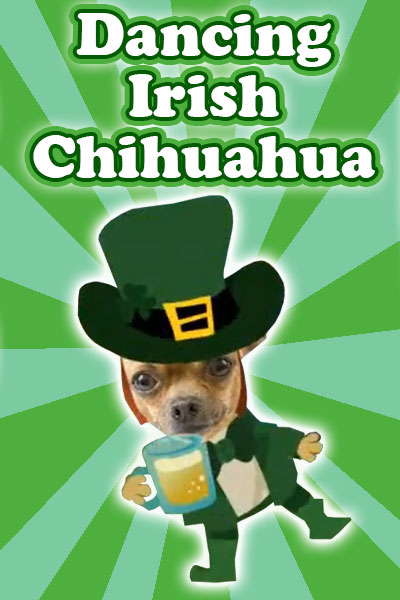 This musical St Patricks day card s preview image is an English bulldog playing the guitar, and a chihuahua in a green suit and top hat, and holding a pint of beer leans into frame.
