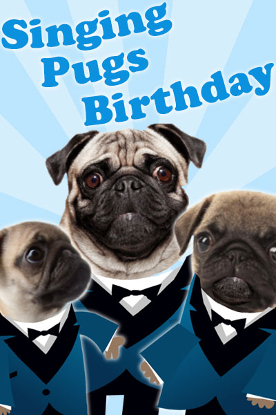 Photographs of three pugs, with cartoon tuxedos drawn on them, making them look like singers in a band. The ecard title Singing Pugs Birthday is written above them. 