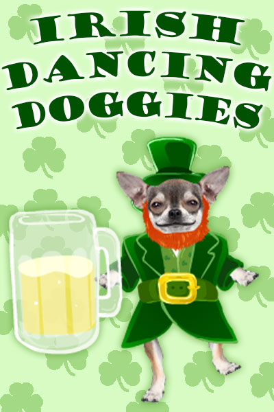 A chihuahua dressed as a leprechaun, holds a pint glass full of beer. The glass is almost comically large in comparison to the small dog. 