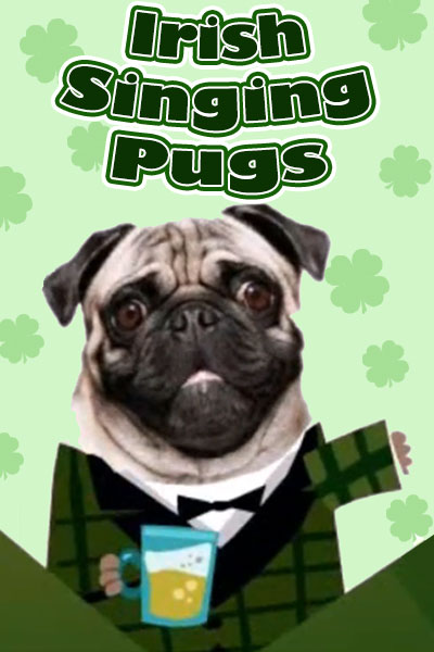 This musical holiday ecard features a group of singing pugs, one of which is pictured on this still image. It is wearing a green plaid suit jacket, and is holding a mug of beer.