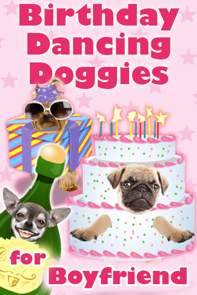 Photographs of the faces of three dogs are dressed as fun, cartoon party items. A chihuahua is dressed as a bottle of champagne, a pug is dressed as a pink and white birthday cake, and a Yorkie is wearing sunglasses and a party hat, and is dressed as a present. Birthday Dancing Doggies For Boyfriend is written in the foreground.