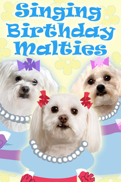 Photos of three Maltese dogs, who are wearing cartoon dresses, pearl necklaces, and hairbows, giving the impression that they are singers. The title of the ecard: Singing Birthday Malties, is written above them.