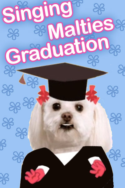 The thumbnail image for this graduation ecard features a white maltie dog wearing a graduation cap and gown, with pink bows on her ears, and pink gloves.