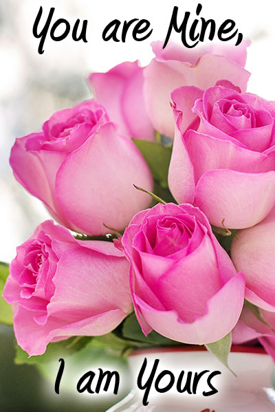 A bouquet of soft pink roses.