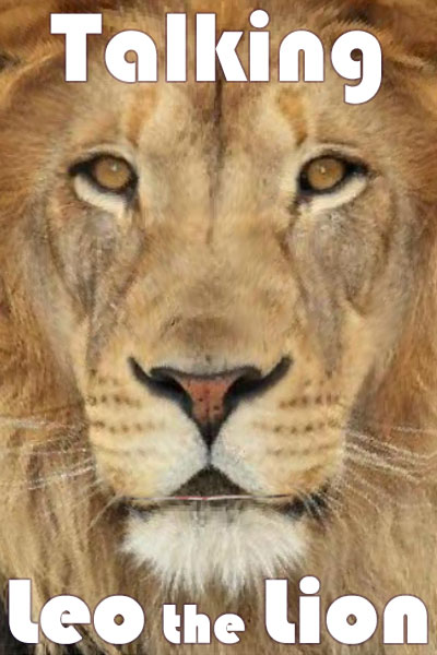 A closeup photo of a lion’s face. 
