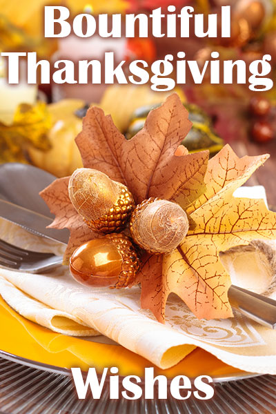 A Thanksgiving table is in the background, fuzzy and indistinct, the focus is on a plate close to the viewer, which has a bouquet on top, made of several fall leaves, and large acorns.