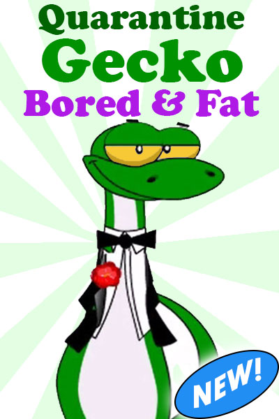 Quarantine Gecko Bored & Fat