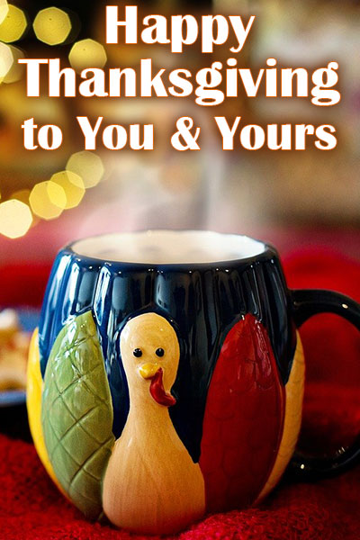 A ceramic mug with a turkey, and fall trees.