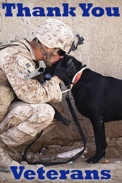 A soldier dressed in fatigues kneels in front of a black labrador retriever. The soldier kisses the dog's forehead affectionately.