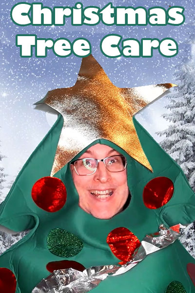 A smiling man wearing a Christmas tree costume complete with ornaments, a garland, and a star, with snow covered pine trees in the background. Christmas Tree Care is written above him.