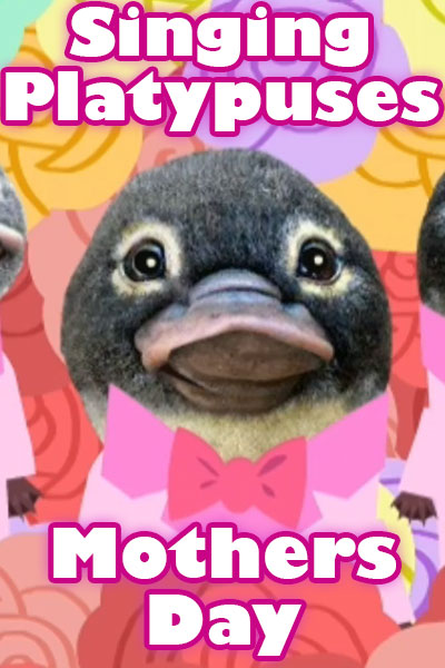 This singing Mother's Day card features several adorable platypus singers, one of which is pictured in this thumbnail image.