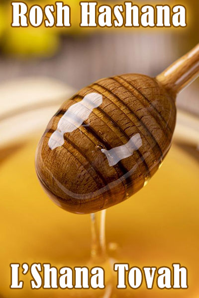 A closeup view of a honey dipper coated in honey.