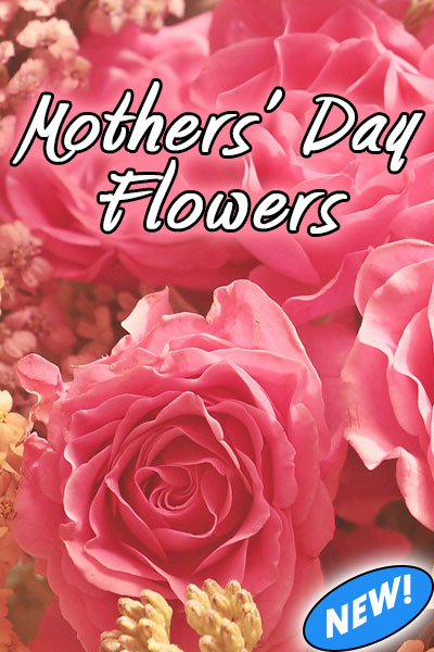 This Mothers Day ecard image shows 4 dark pink wild rose blooms against a background of many smaller tan flower blooms with the name of the card in white letters saying "Mothers Day Flowers".