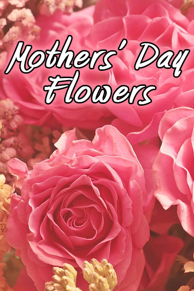 This Mothers Day ecard image shows 4 dark pink wild rose blooms against a background of many smaller tan flower blooms with the name of the card in white letters saying Mothers Day Flowers.