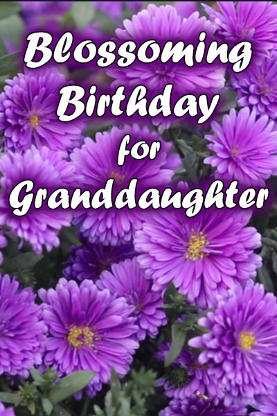 Blossoming Birthday for Granddaughter