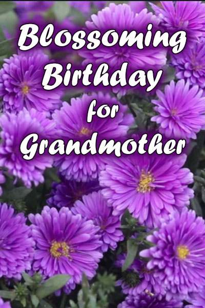 Blossoming Birthday for Grandmother