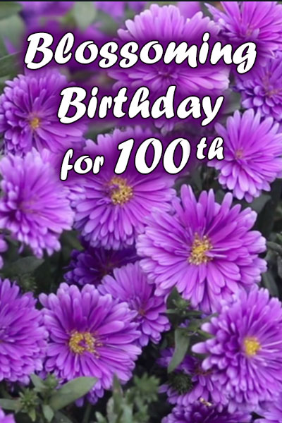 a field of purple flowers with the words "Blossoming Birthday for 100th" in white over the image.