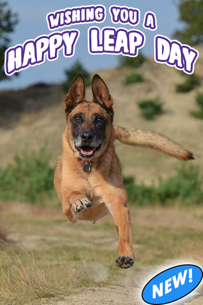 The Leap Year ecard shows a German Shepherd dog leaping in the air, facing the viewer. Below him is a grassy lawn. Above his head is the title, "Wishing You A Happy Leap Day".