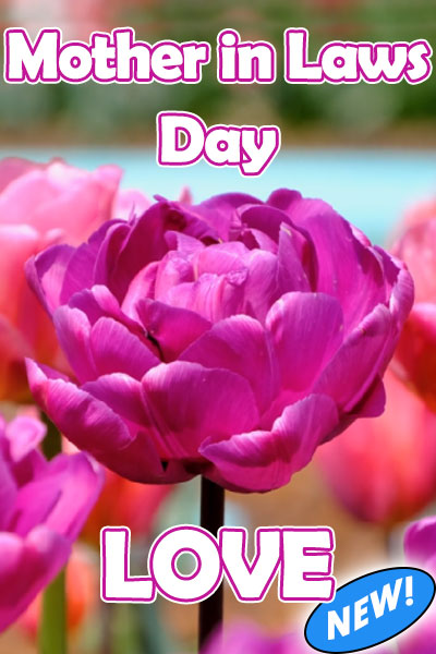 Mother in Laws' Day Love ecard