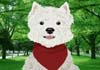 A westie dog with a red bandanna around its neck.