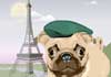 Talking Pug in Paris (Personalize)