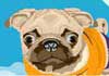 Talking Surfing Pug (Personalize)