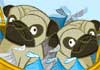 Two pug puppies with bows around their necks sit in a basket surrounded by chocolate candy kisses.