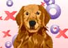 An illustrated golden retriever looking happily at the viewer.