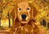 Talking Autumn Golden Retriever (Personalize)