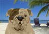 Talking Beach Bulldog