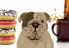 A bulldog next to a stack of donuts. 