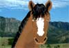 Talking Horse (Personalize)