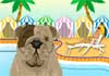 An English Bulldog looks at the viewer. Behind it are colorful striped cabanas, and a swimming pool,