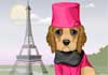 A cocker spaniel wearing a pink pillbox hat, and pink and black outfit.