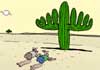 Chanukah Cactus