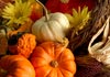 Thanksgiving Abundance