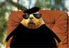 A squirrel in a black beret, dark sunglasses, and black shirt sits in front of a plate that is empty, except for a t-shaped steak bone.