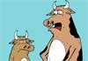 A Rubes by Leight Rubin cartoon of a father cow with a pierced nose, scolding his younger daughter for piercing her udders. 