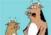 A Rubes by Leight Rubin cartoon of a father cow with a pierced nose, scolding his younger daughter for piercing her udders. 