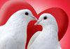 A pair of doves, with a big red heart behind them.