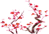 A collection of branches covered with soft pink flowers.